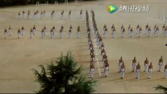 北少林南跆拳,北少林与南跆拳的对话与融合