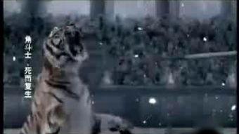 虎面角斗士,勇猛对决，传奇诞生